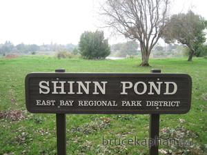 Shinn Pond sign