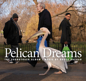 Pelican_Dreams