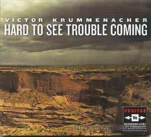 Hard To See Trouble Coming